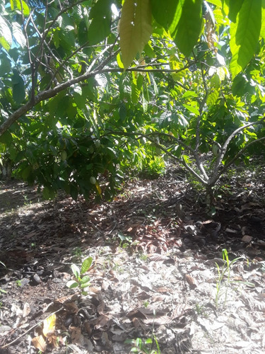 Se Vende Hermosa Finca En Monte Plata.