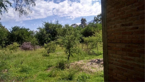 Imagen 5 de 9 de El Proyecto Comenzo...usted Puede Terminarlo!!!! Merlo Sl
