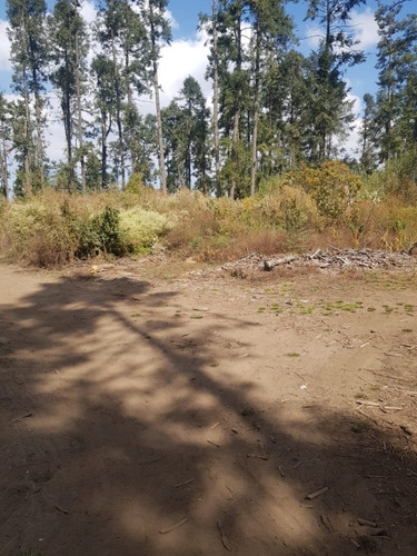 Imagen 10 de 15 de Venta De Terreno En Salazar La Marquesa Estado De Mexico