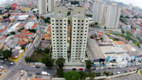 Imagem 4 de 15 de Apartamento Para Venda - V-4331