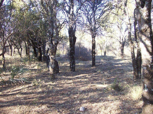 Imagen 2 de 12 de Terreno Calle La Rubí