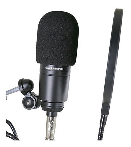 Imagen 4 de 5 de Youshares Audiotechnica At2020 Espuma Mic Del Parabrisas - 2