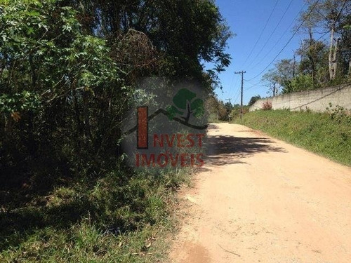 Imagem 3 de 10 de Terreno - Ref: 4159 - V-4159