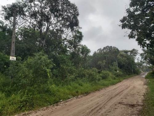 Imagem 7 de 8 de 7010 Kym - Terreno De Chácara - Parque Real- 4.000 M².
