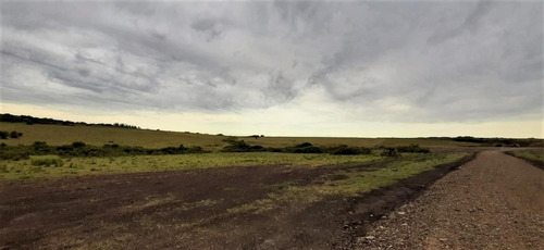 Chacras En Ruta Interbalnearia