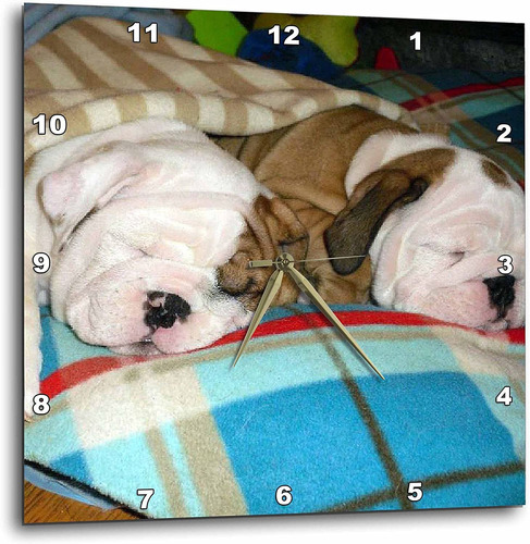 Dpp   Bulldog Ingles Reloj De Pared Powernap  Por  PuLG...