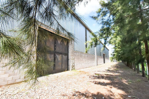 Alquiler O Venta Galpon 3000m2 Cañuelas A Estrenar