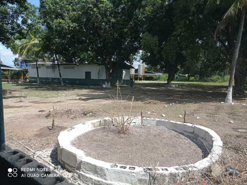 Finca De 12 Hectareas De Gallinas Ponedoras En Villa De Cura