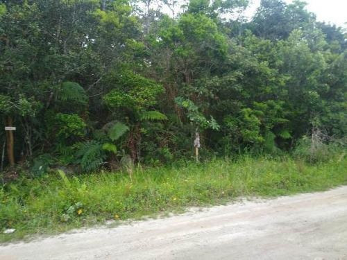 Imagem 3 de 3 de Terreno No Litoral À Venda Em Itanhaém, 1200 M² - 7528 Lc