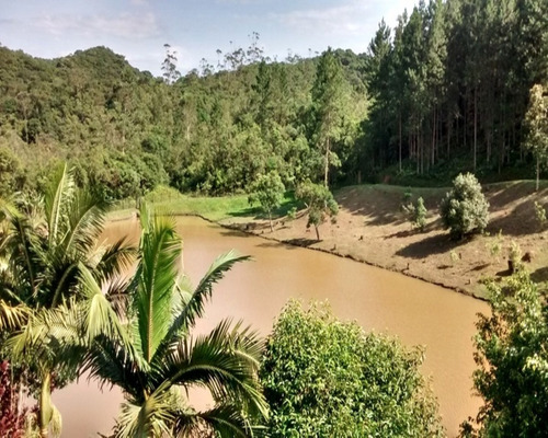 Imagem 27 de 30 de Sítio Rico Em Água Com Extenso Represa À Venda Em Juquitiba. - 45 - 32982658
