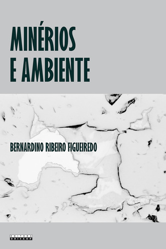 Minérios e ambiente, de Bernardino Ribeiro Figueiredo. Editora da Unicamp, capa mole em português