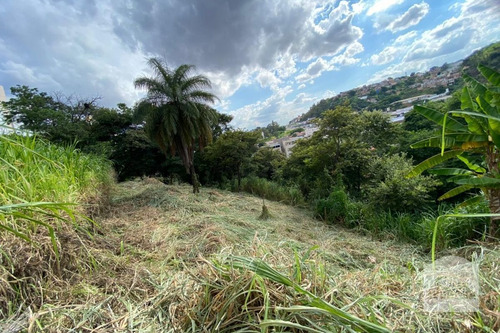 Imagem 4 de 13 de Lote À Venda No Alto Caiçaras - Código 276550 - 276550