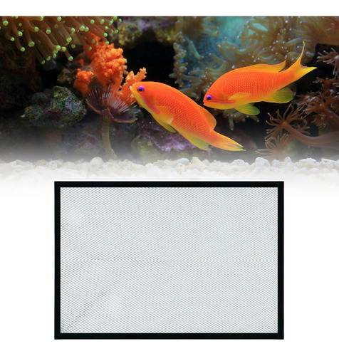 Cubierta De Protección Para Acuario, Red De 60x30cm