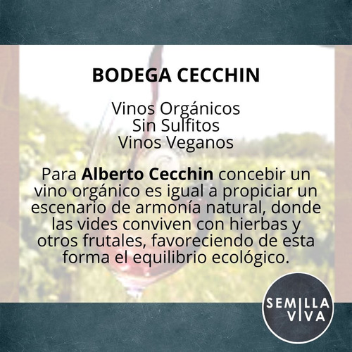 Imagen 6 de 10 de Vino Orgánico Malbec Familia Cecchin X 750 Ml - New York