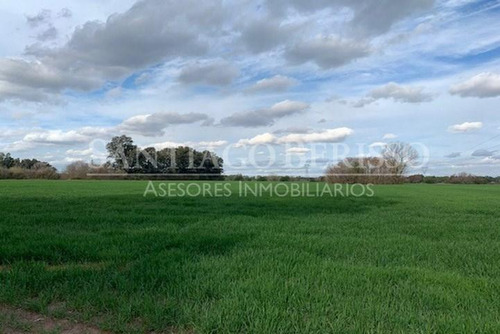 Terreno Campo En Venta Ubicado En Zárate, G.b.a. Zona Norte