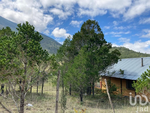 Venta Terreno 0 Ambiente Los Lirios