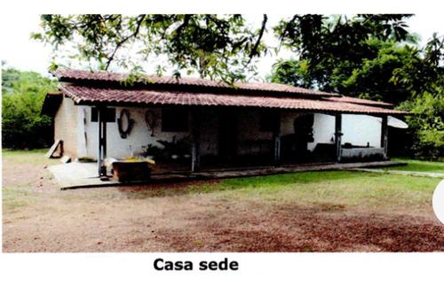 Venda De Fazenda Com Estrutura Completa Potencial Produtivo