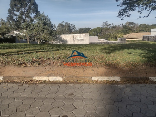 Imagem 6 de 12 de Terreno - Te00021 - 69336091