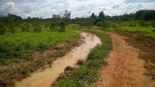 Imagem 17 de 30 de Fazenda De Gado E Graõ Com 455 Hectares Curvelo - 36426