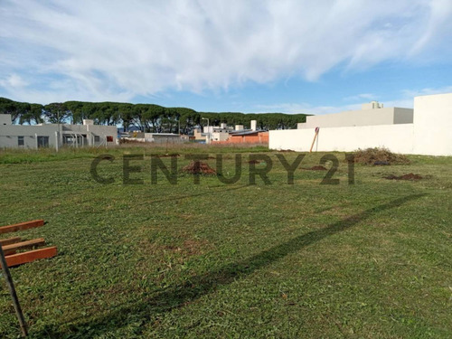 Lote En Venta