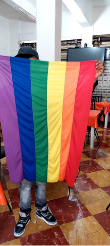 Bandera Lgbt,lesbica,pansexual,trans