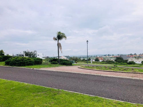 Imagen 8 de 8 de Venta De Terreno, Fraccionamiento Zirándaro En San Miguel De