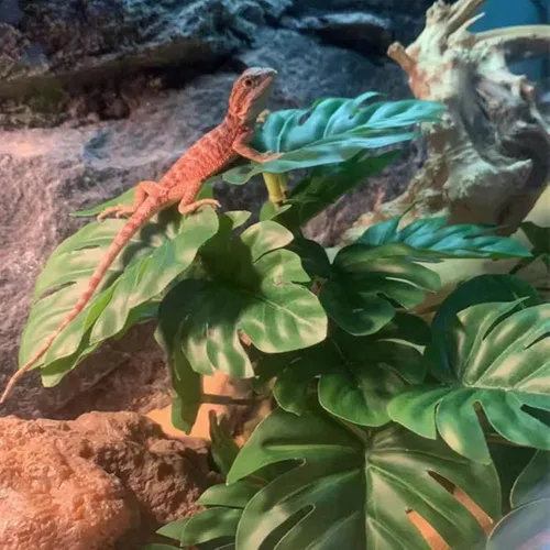 Keruideng Plantas De Reptiles Para Decoración De Terrarios,d