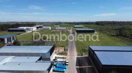 Depósito Galpón En Alquiler En Cuartel V, Moreno