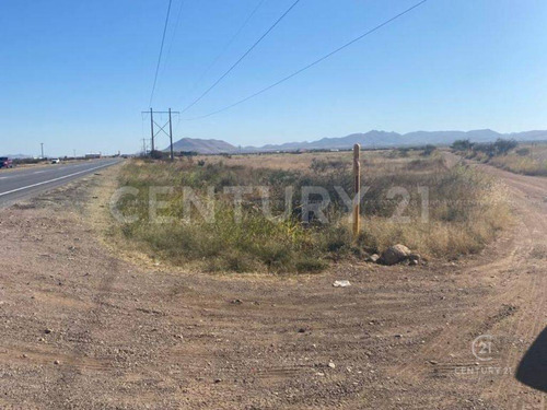 Terreno En Venta  En Campo El Torreon ,carretera Cd Juarez Chih.