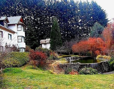 Imagen 4 de 11 de Cabaña Complejo Rupu Pehuen Para 6 P 120m2- 24 Junio Y 8 Julio!!!