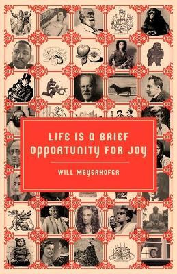 Libro Life Is A Brief Opportunity For Joy - Will Meyerhofer