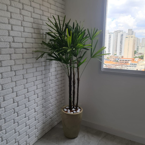 Planta Natural Palmeira Ráfia Com Vaso Cone