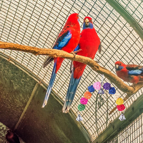 Juguete Para Masticar Pájaros Juguete Para Masticar Loros Ju