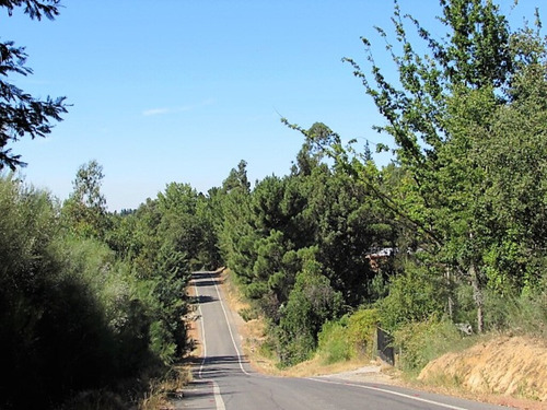 Cauquenes, 352m2 Construidos En 18 Has (95594)