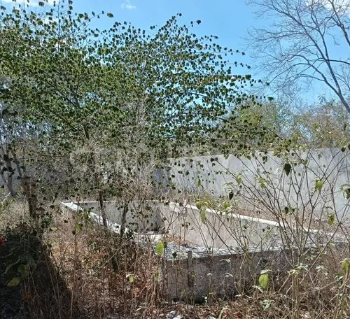 Residencia En Construcción, 1586 M2 De Terreno En Campo Bravo, Mérida, Yucatán.