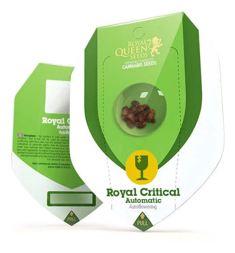 Royal Critical X1 Auto - Royal Queen Seeds