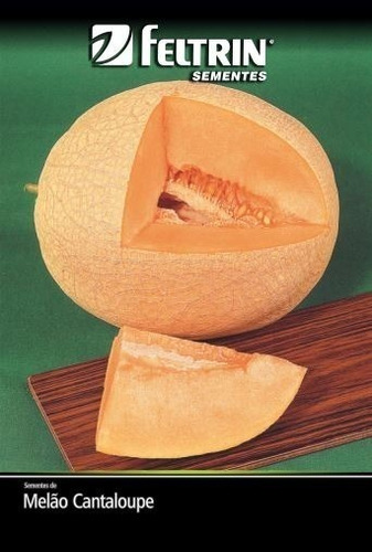 Melão Cantaloupe