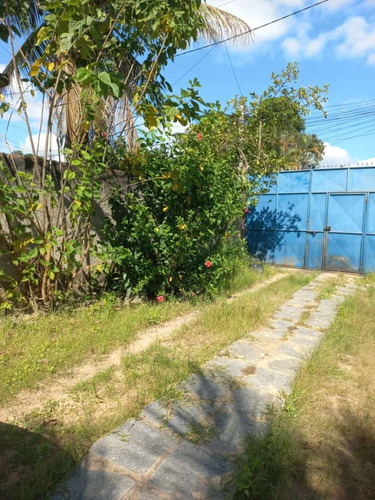 Imagem 27 de 29 de Casa Com Quintal