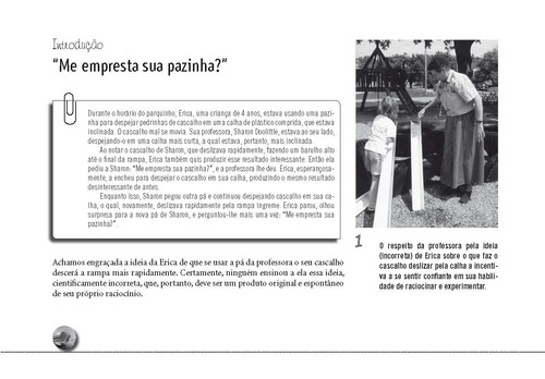 O Ensino de Física para Crianças de 3 a 8 Anos: Uma Abordagem Construtivista, de DeVries, Rheta. Editorial Penso Editora Ltda.,Naeyc, capa mole em português, 2013