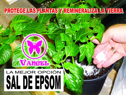 Sulfato De Magnesio Sal De Epsom Sal Inglesa Vangel° X Kg