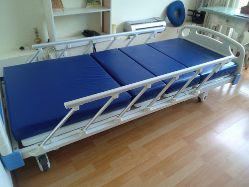 Cama Clinica Electrica Tres Funciones Casi Sin Uso Impecable