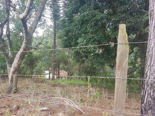 Imagem 7 de 14 de Terreno, Centro, Pirapora Do Bom Jesus - R$ 1.200.000,00, 430m² - Codigo: 234967 - V234967