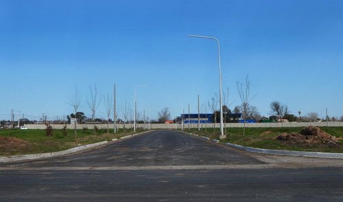 Imagen 9 de 10 de Los Lapachos - Lote 103 - 200 M2