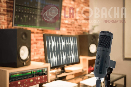 Imagen 8 de 9 de Microfono Condenser Usb Cardioide Calidad Streaming Youtube