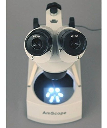 Imagen 9 de 9 de Amscope Se306r-p-led Microscopio Estéreo Binocular Con