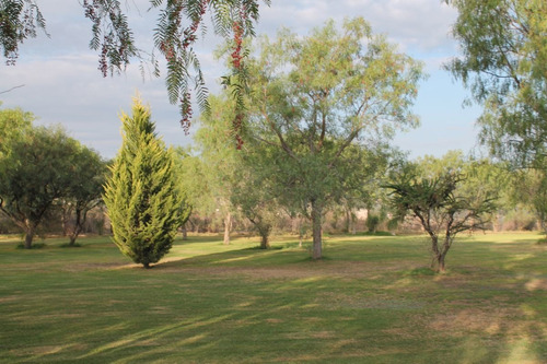 Imagen 8 de 8 de Casatuya, Terreno En Venta En Eden Los Sabinos 1,100 M2. Agu