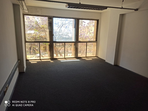 Oficina De 300m2, 8 Privados. 18 De Julio Y Martin C. Martínez