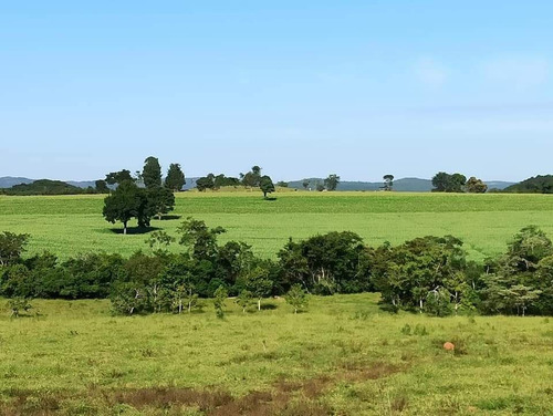 Imagem 2 de 10 de Fazenda Com 3 Dormitórios À Venda, 6872800 M² Por R$ 25.000.000,00 - Zona Rural - Santa Cruz De Goiás/go - Fa0007
