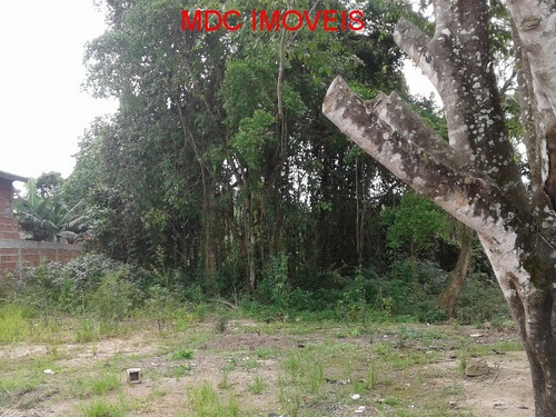 Imagem 3 de 4 de Terreno - Mdc 1244 - 31966036