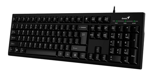 Teclado Inteligente Genius Smart Kb-100 Negro Usb